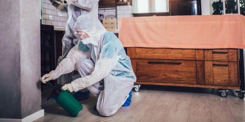 Dedetização em apartamento como funciona em Joinville