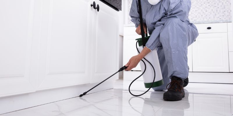 Como preparar a casa para dedetização em Joinville